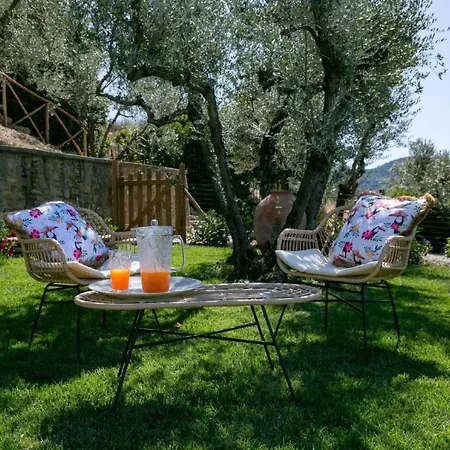 Appartement Wunderschoene In Mit Grosser Terrasse By Interhome *